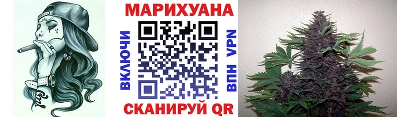 НБОМе Бакал