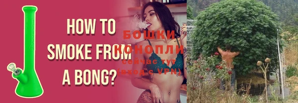 наркотики Белокуриха