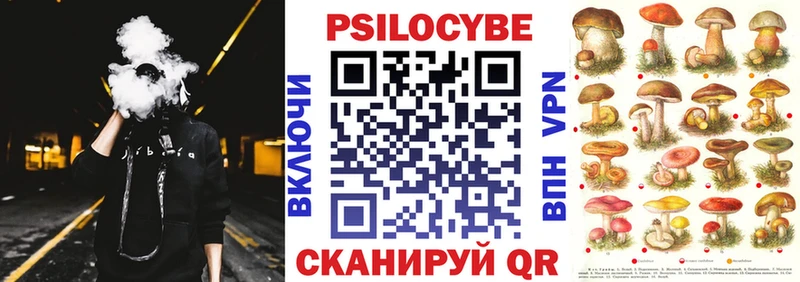 Псилоцибиновые грибы ЛСД  Бакал 